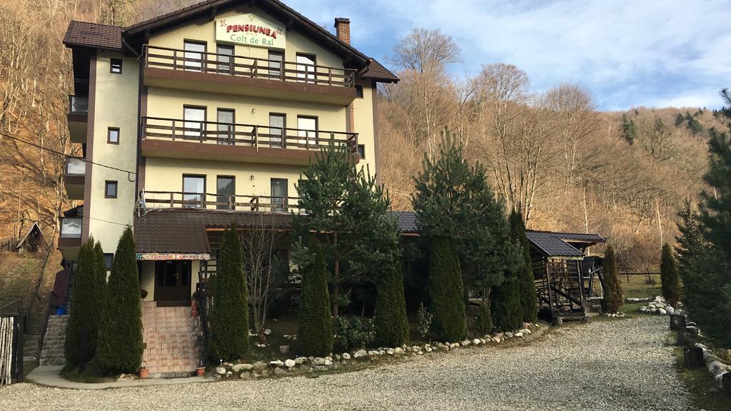Vila Colt De Rai Otel Rîşnov Dış mekan fotoğraf